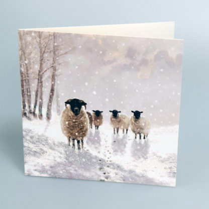 Sheep in Snow Christmas Cards