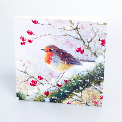 Snowy Robin Christmas Cards
