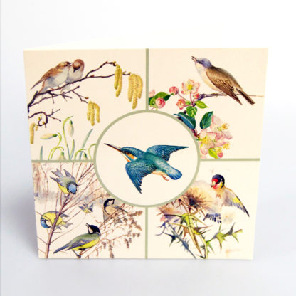 Birds Greeting Card