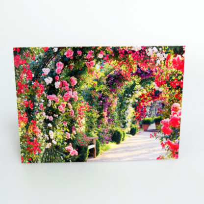 Beautiful Blooms Greeting Card