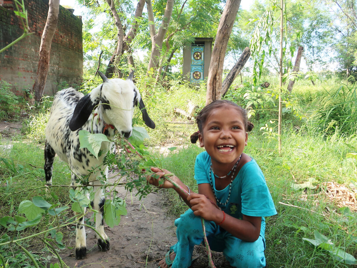 Child Rekha feeding her goat Nibri.