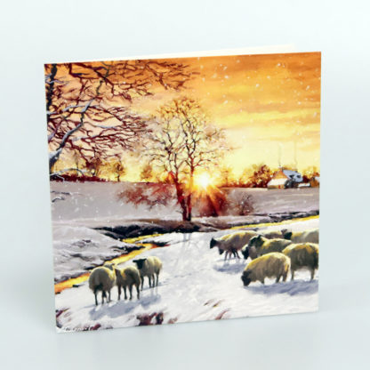 Sheep in Snow Christmas Card