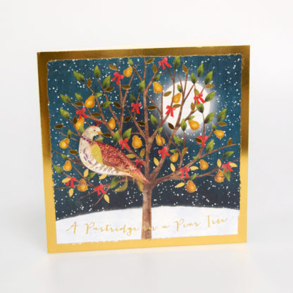 Partridge in a Pear Tree Christmas Cards