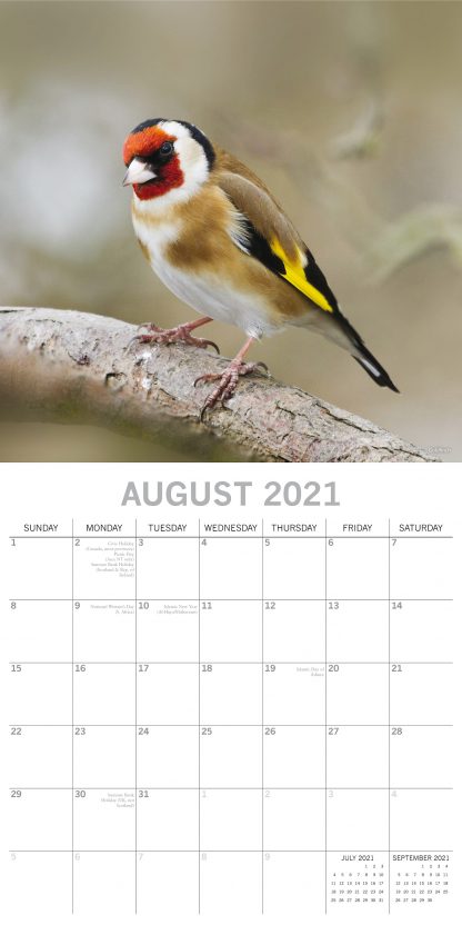 2021 Birds Calendar