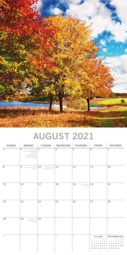 Trees 2021 calendar