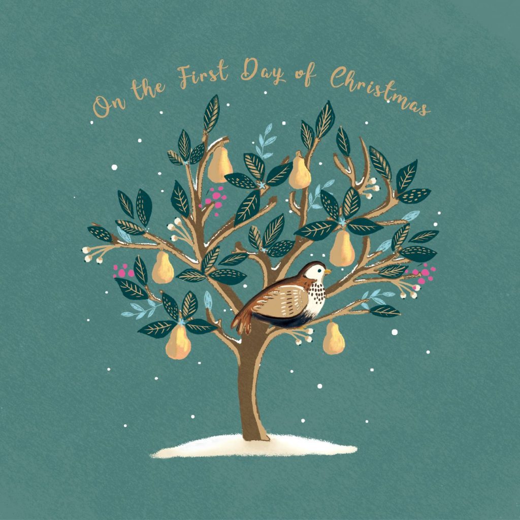 Partridge in a Pear Tree Christmas Cards Save the Children Shop