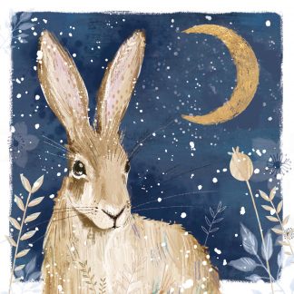 Winter Hare Christmas Cards
