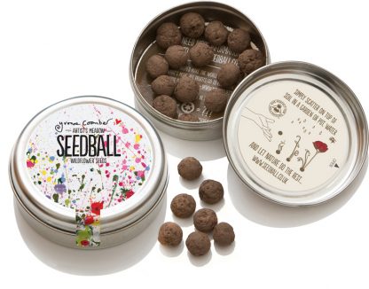 Artist Meadow Seedball Mix