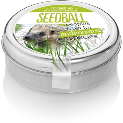 seedball-Hedgehog-01