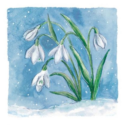 Snowdrop Christmas Card