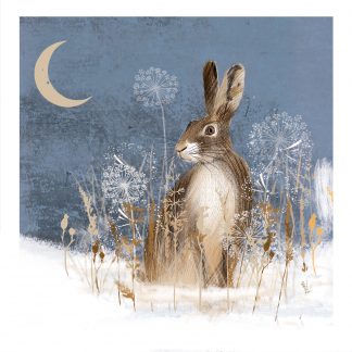 Winter Hare Christmas Card