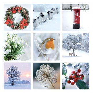 Winter Montage Christmas Card