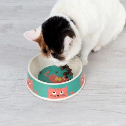 chester-cat-bamboo-cat-food-bowl-28778--lifestyle
