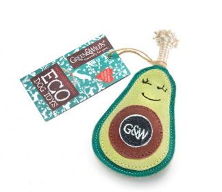 Green and wild Avocado Pet Toy