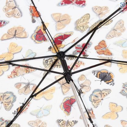 Butterfly Umbrella 3