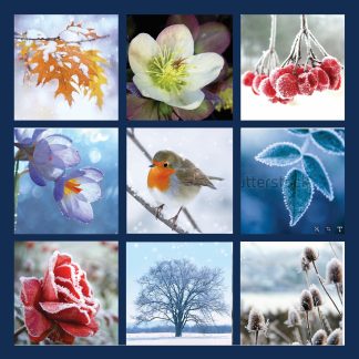 Winter Montage Charity Christmas Card