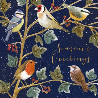 Birds on a Branch Christmas Card