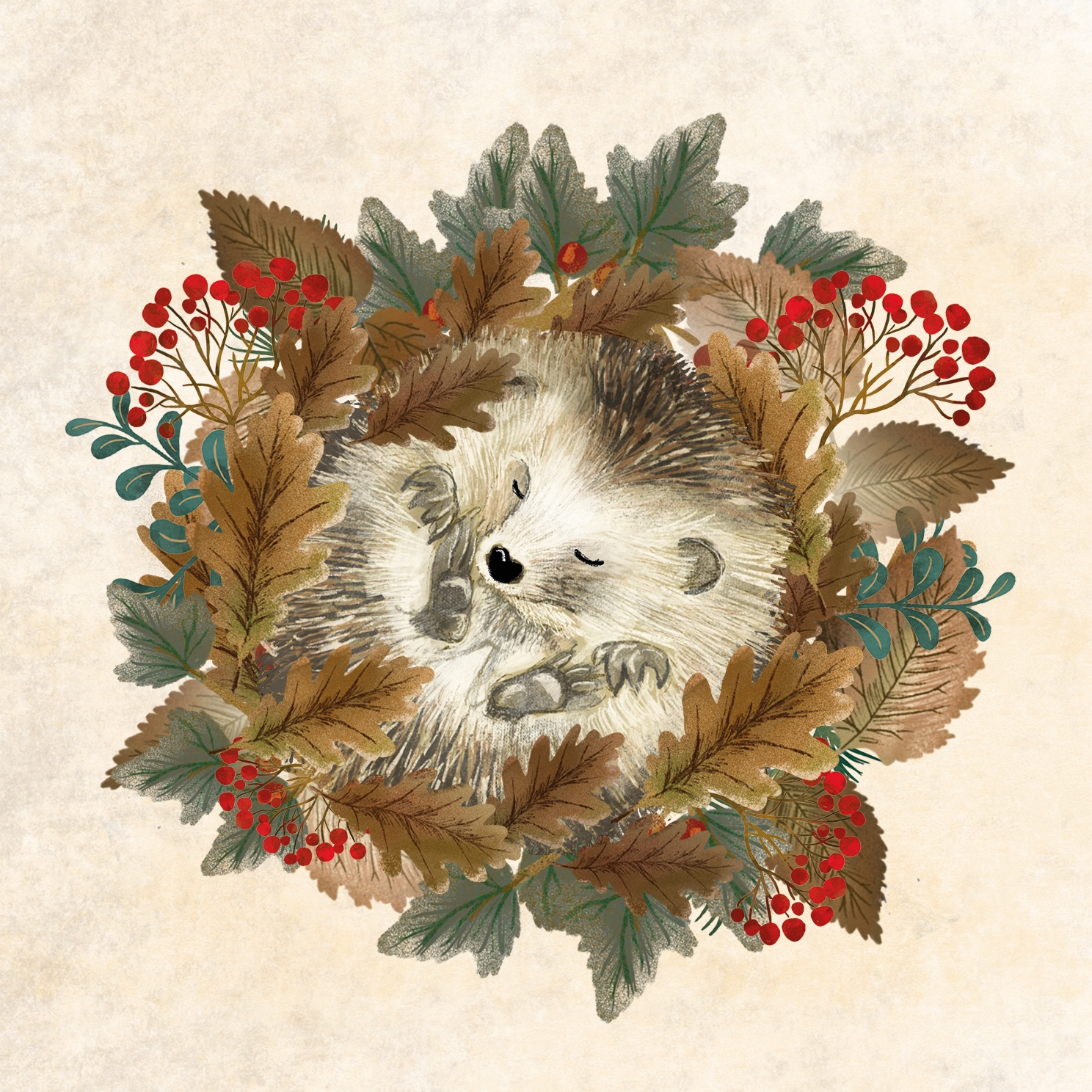 Hedgehog Christmas Card