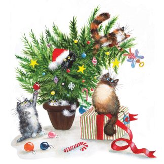 Naughty Cats Christmas Cards