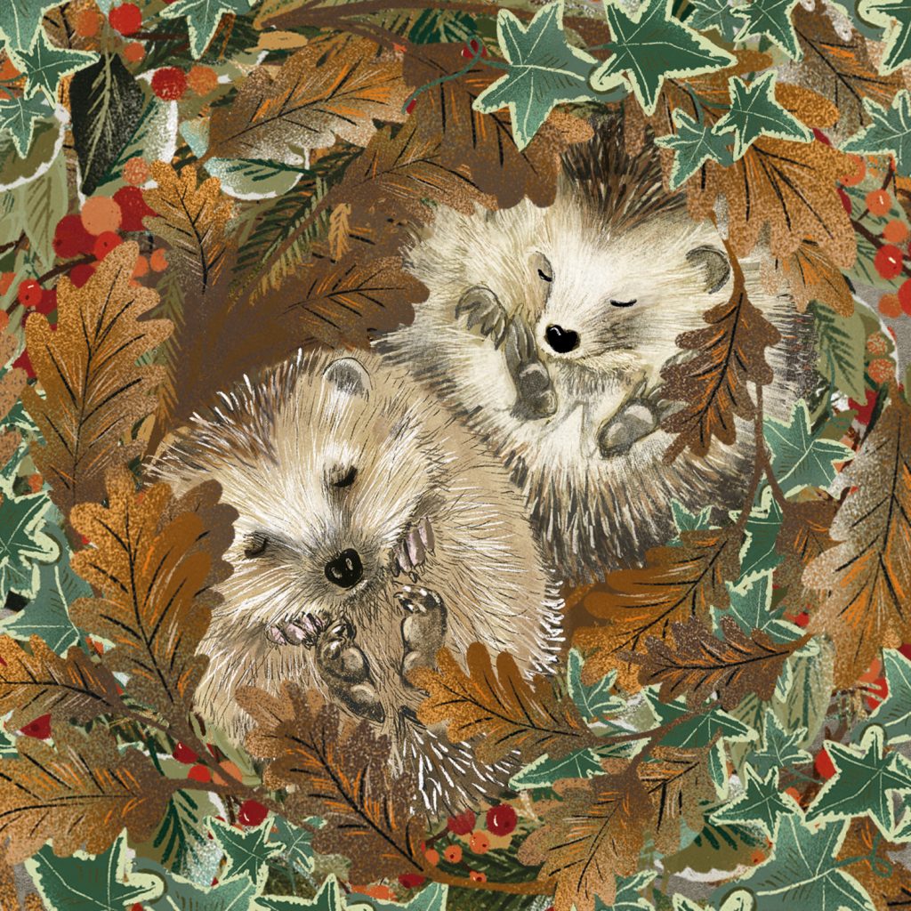 Cosy Hedgehogs Christmas Cards | Save the Children Shop