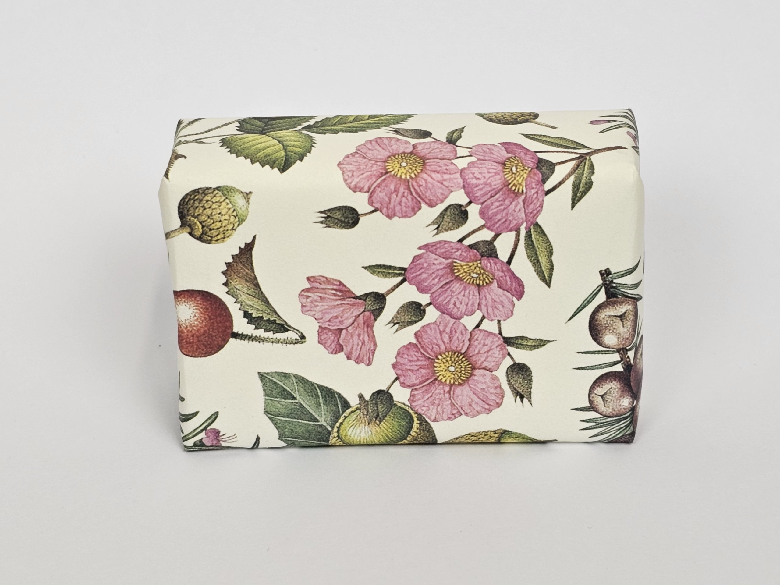 SAVC02 Front SAVC02 Front