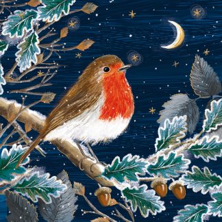 Moonlit Robin Christmas Cards