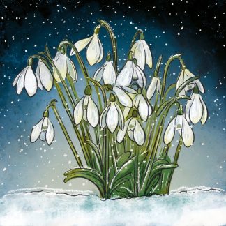 Snowdrops Christmas Cards