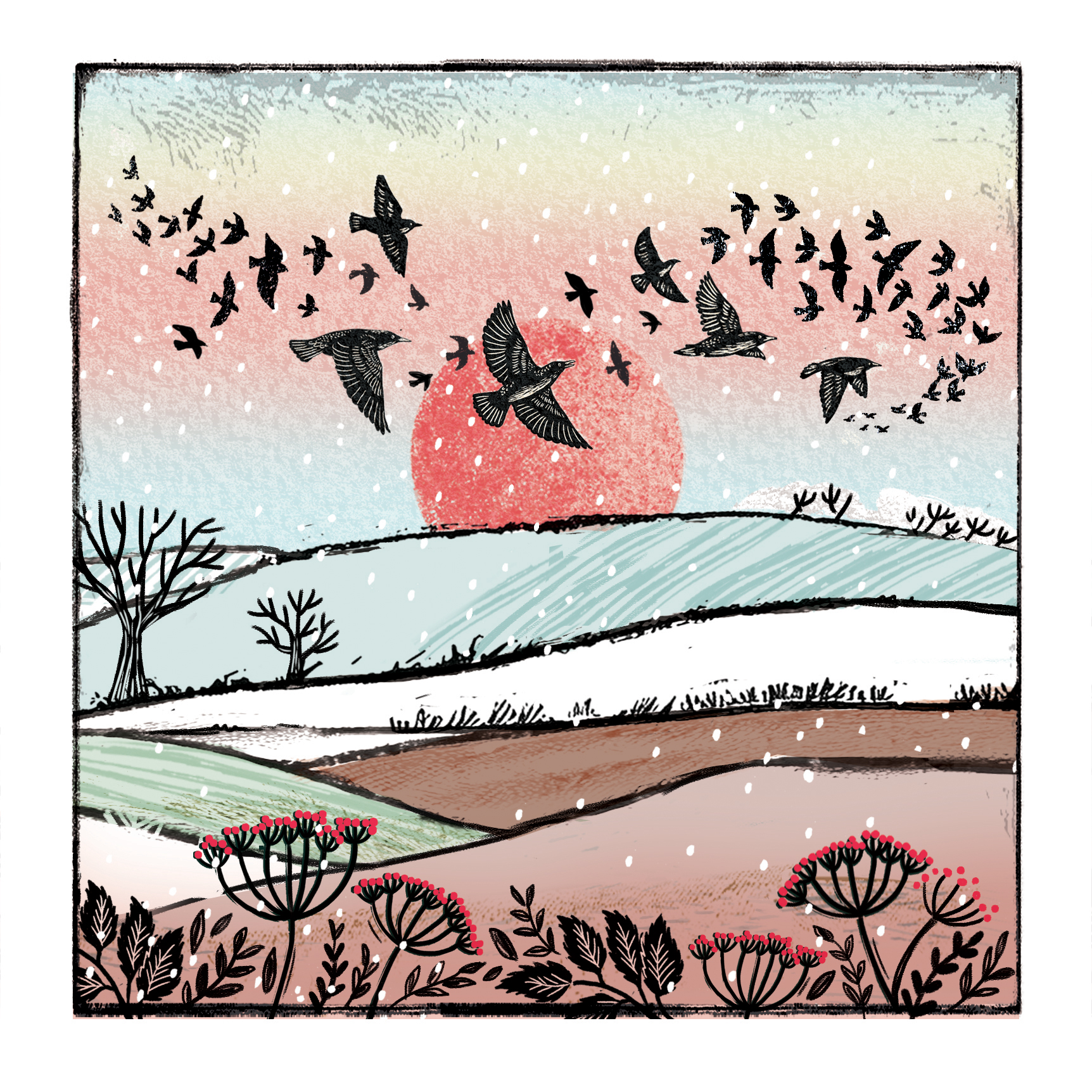 Starling Flight Christmas Card Starling Flight Christmas Card