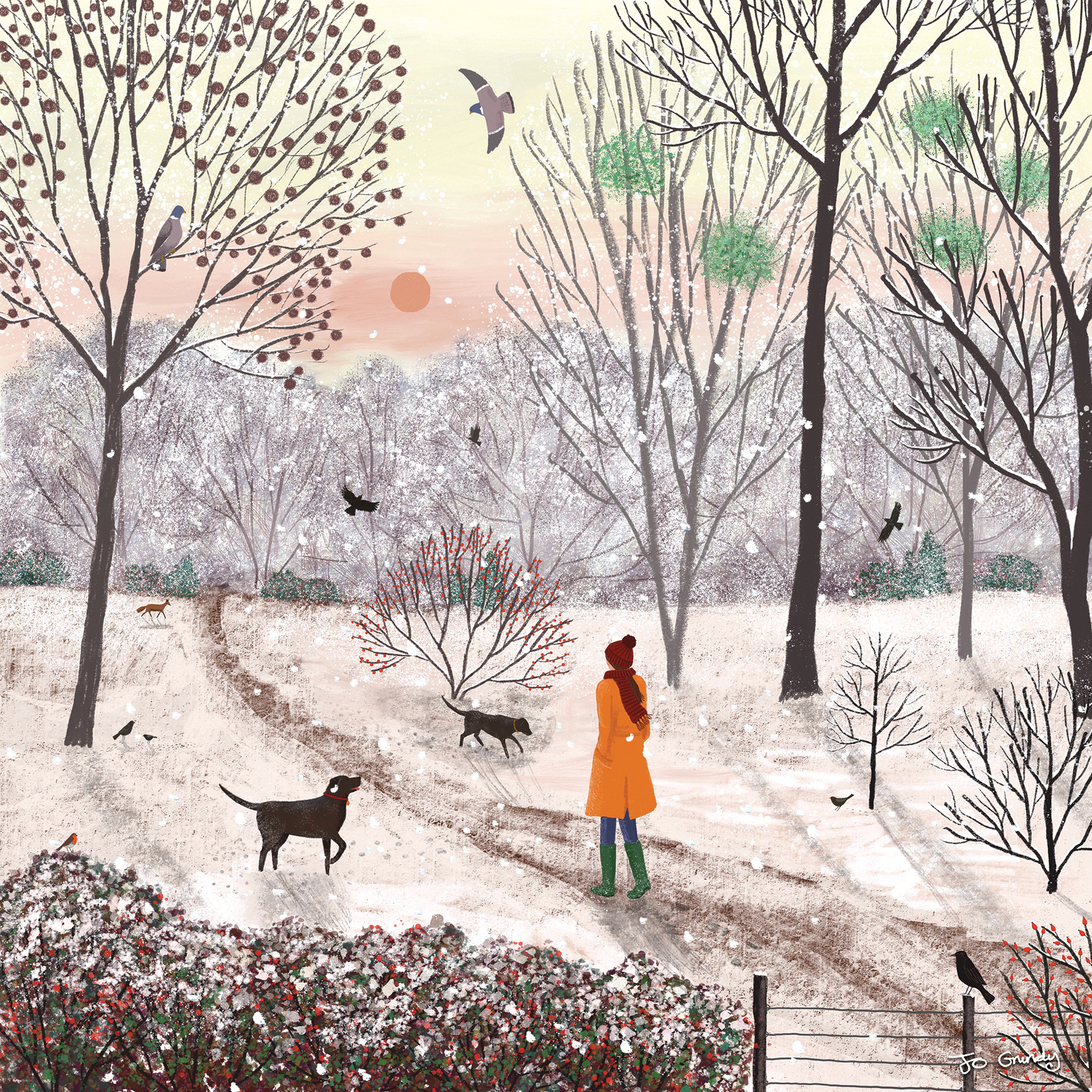 Frosty Dog Walk Christmas Cards Frosty Dog Walk Christmas Cards