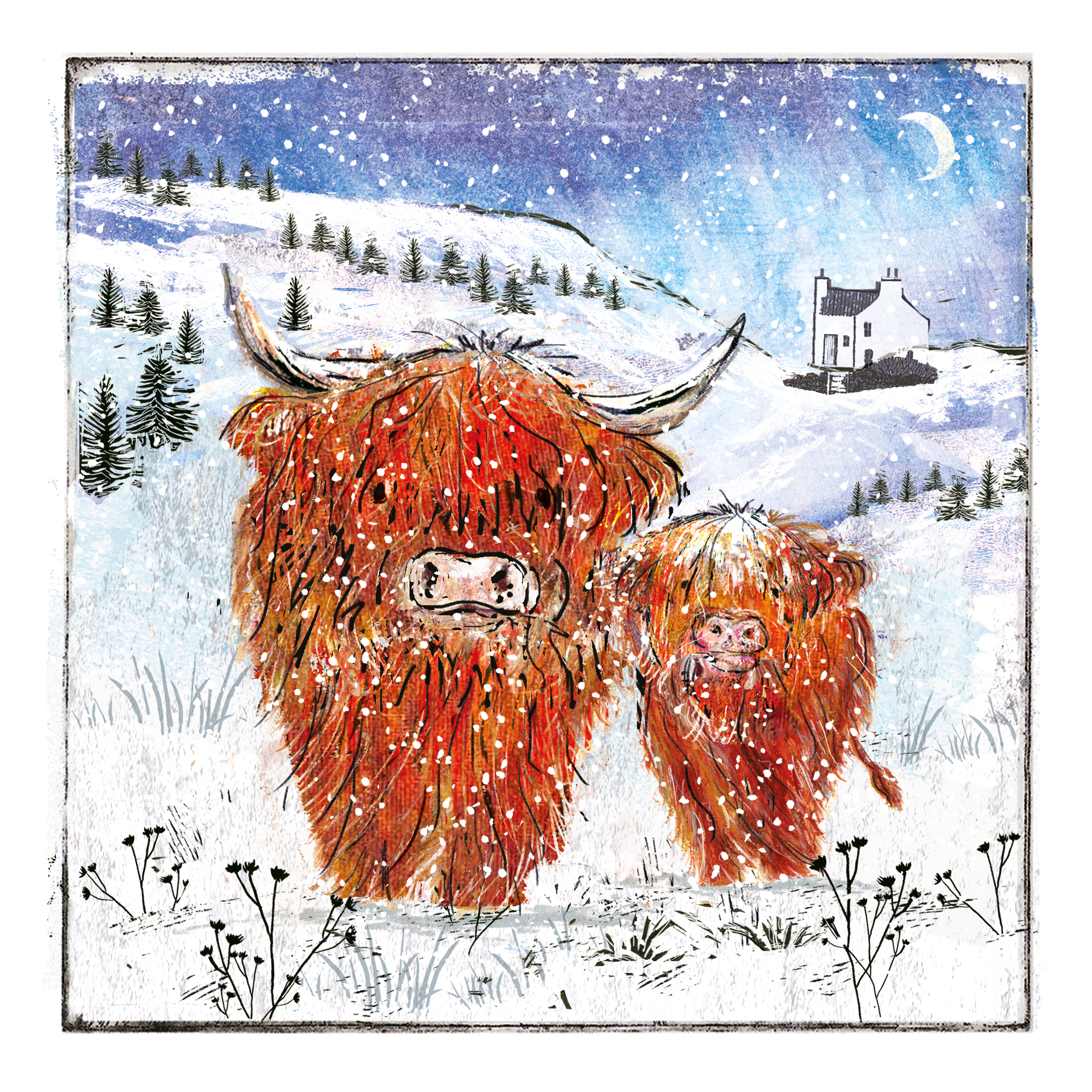 Highland Cow Christmas Highland Cow Christmas