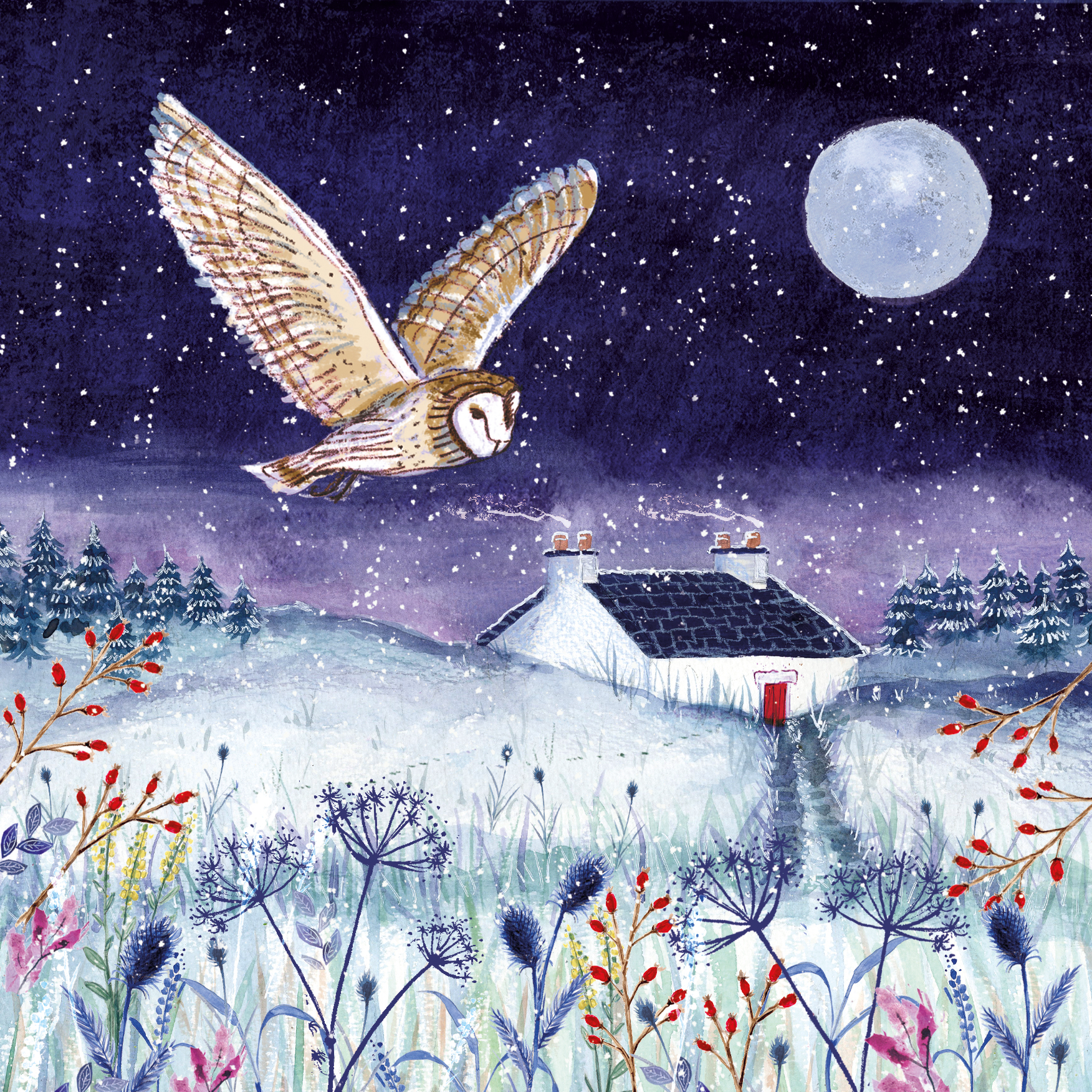 Owl Christmas Card Owl Christmas Card