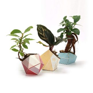 Oribon Origami Meets Bonsai Classic Plant Pots